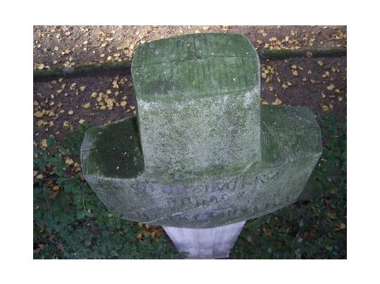 Glony pokrywające krzyż - widok z bliska