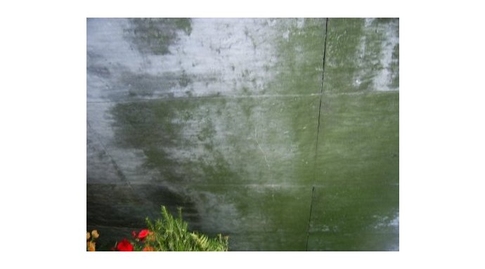 Elementy muru pokryte glonami