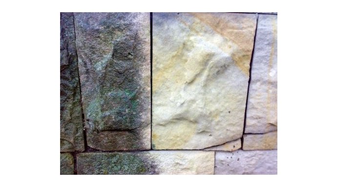 Widok przed i po usunięniu wykwitów z zieleni z muru